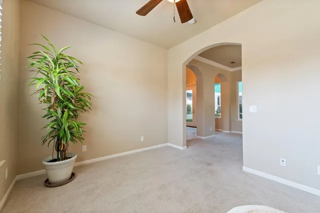 an entryway with a potted plant