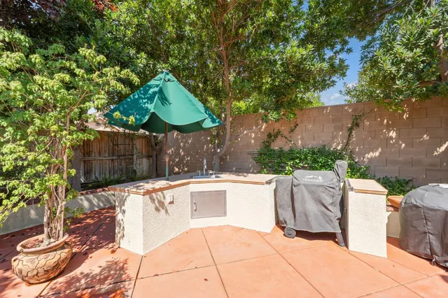 a potted plant sitting in front of a house