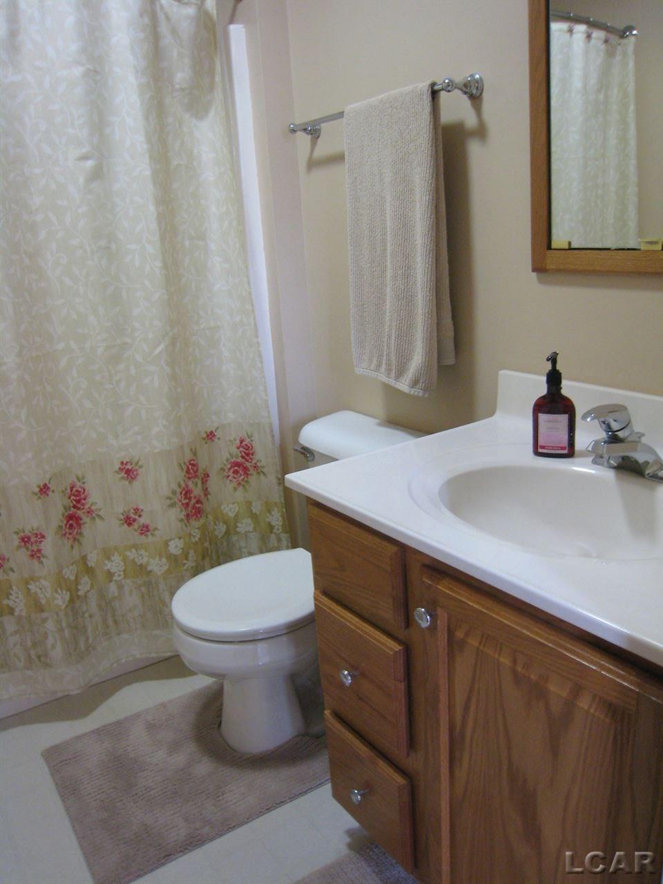 8900 Shepherd Road Onsted, MI 49265 - Photo 15 of 34 Master bath