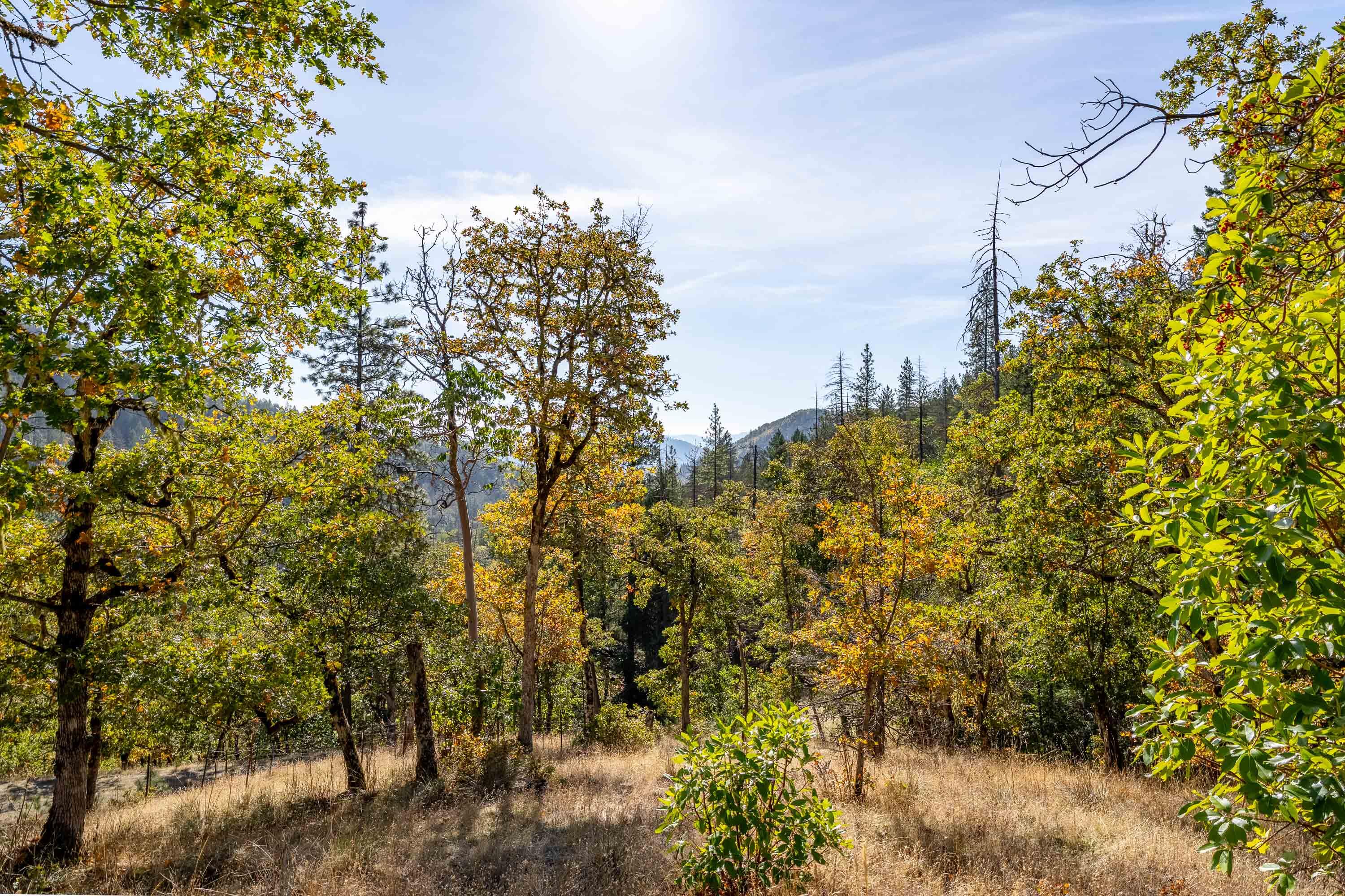 0 Sardine Creek Road Gold Hill, OR 97525 - Photo 20 of 20 EXT (9 of 9)