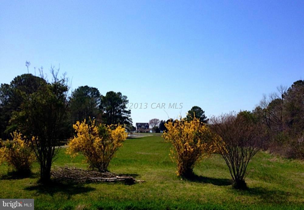 20142 Nanticoke Road Nanticoke, MD 21840 - Photo 22 of 23 a view of a park