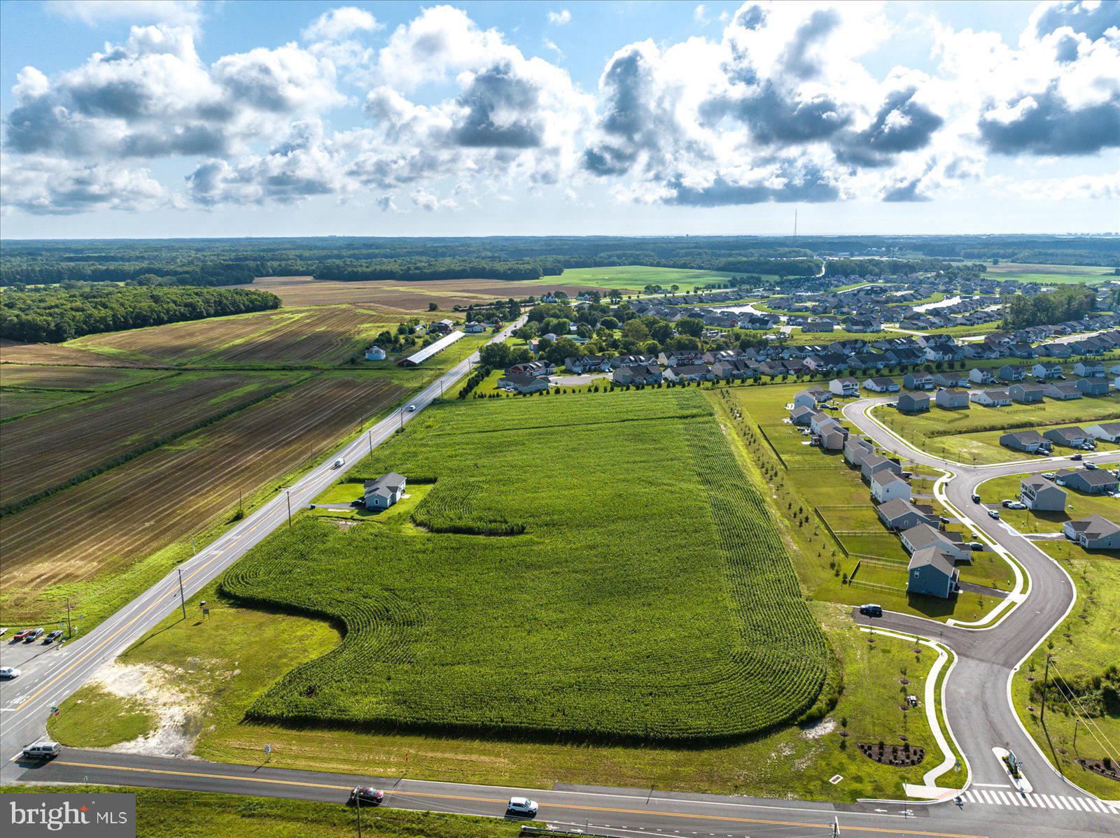 32474 Lighthouse Road Selbyville, DE 19975 - Photo 8 of 26 a view of swimming pool