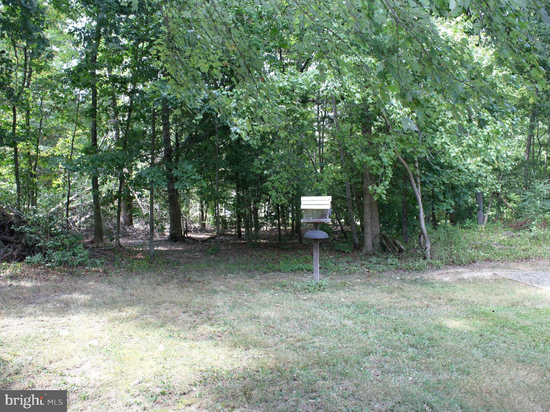 9632 Leavells Road Fredericksburg, VA 22407 - Photo 24 of 28 Wooded Back Yard