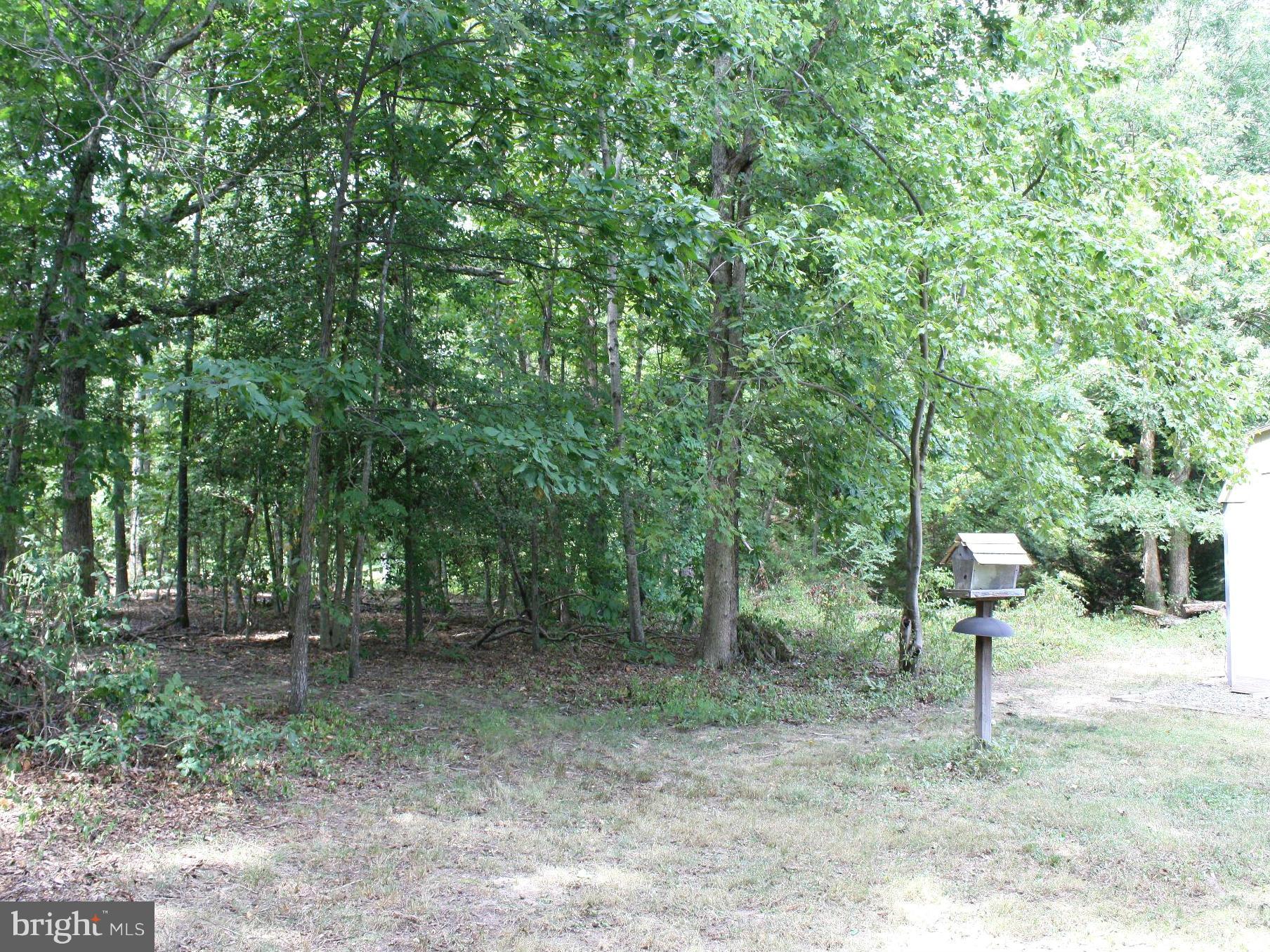 9632 Leavells Road Fredericksburg, VA 22407 - Photo 25 of 28 Wooded Back Yard