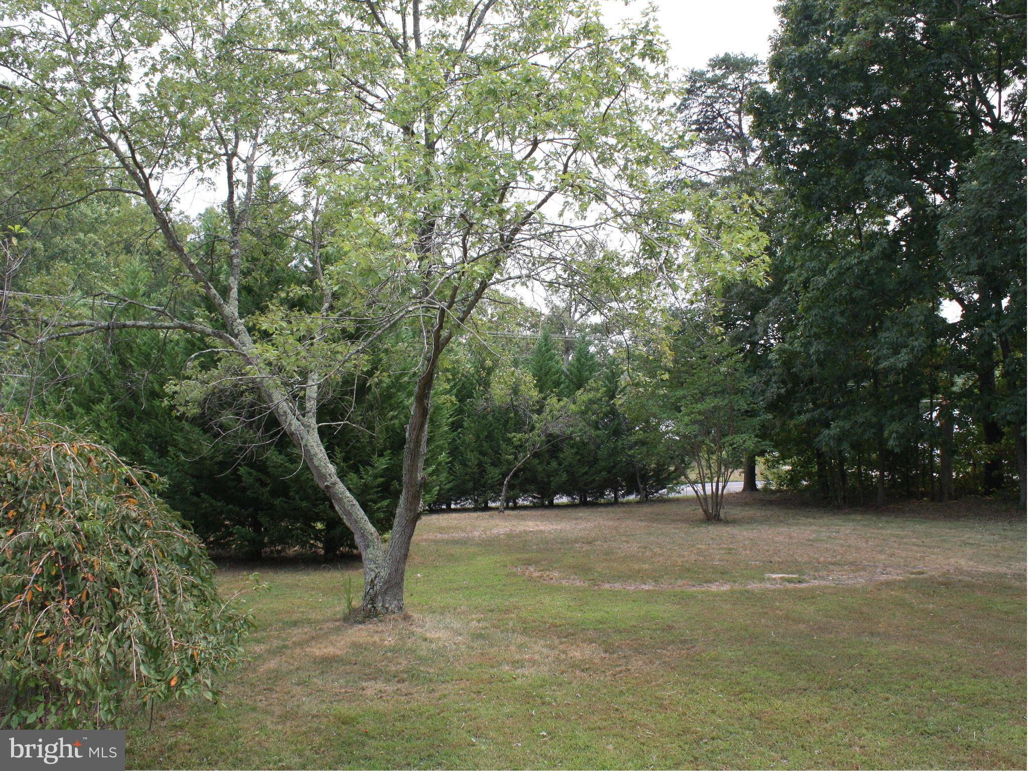 9632 Leavells Road Fredericksburg, VA 22407 - Photo 27 of 28 Front Yard