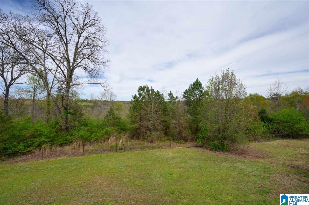 515 Bullard Road Blountsville, AL 35031 - Photo 19 of 21