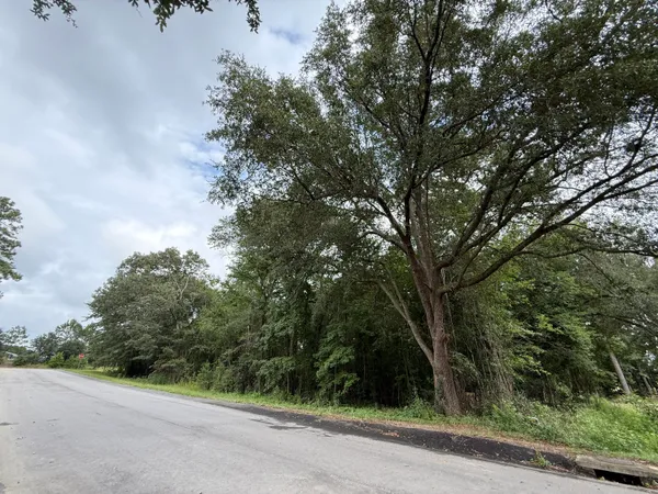 $15,400 | 0 Live Oak Lane, Barnwell, SC 29812