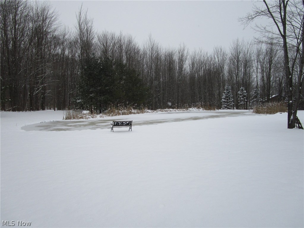1891 Mini Ranch Trail Geneva, OH 44041 - Photo 7 of 35