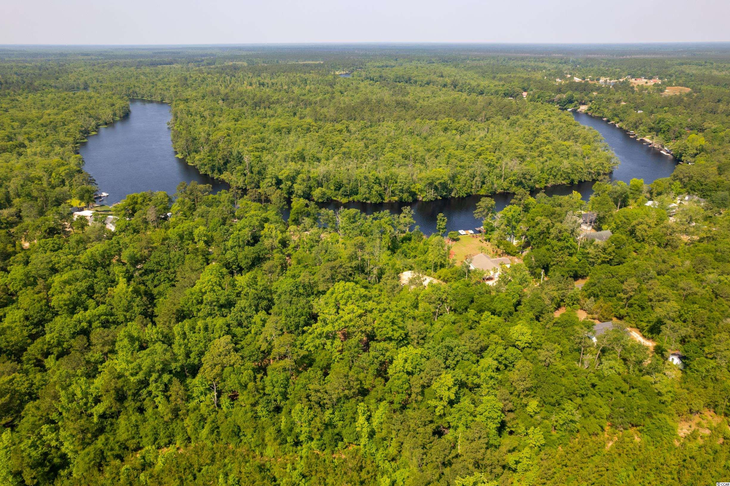 Tbd Francis Marion Drive Georgetown, SC 29440 - Photo 6 of 28