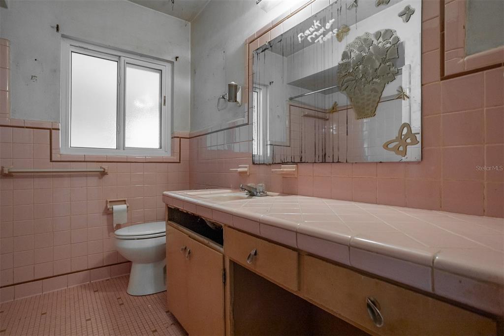 2903 West Heiter Street Tampa, FL 33607 - Photo 17 of 30