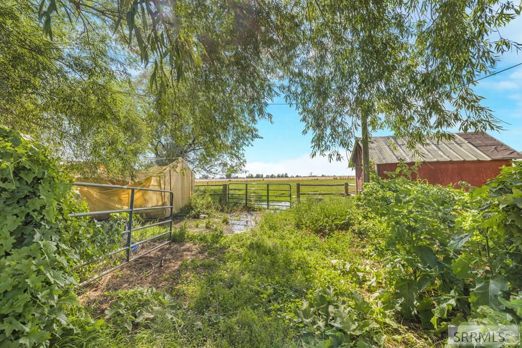 1181 Country Road Sugar City, ID 83448 - Photo 45 of 51