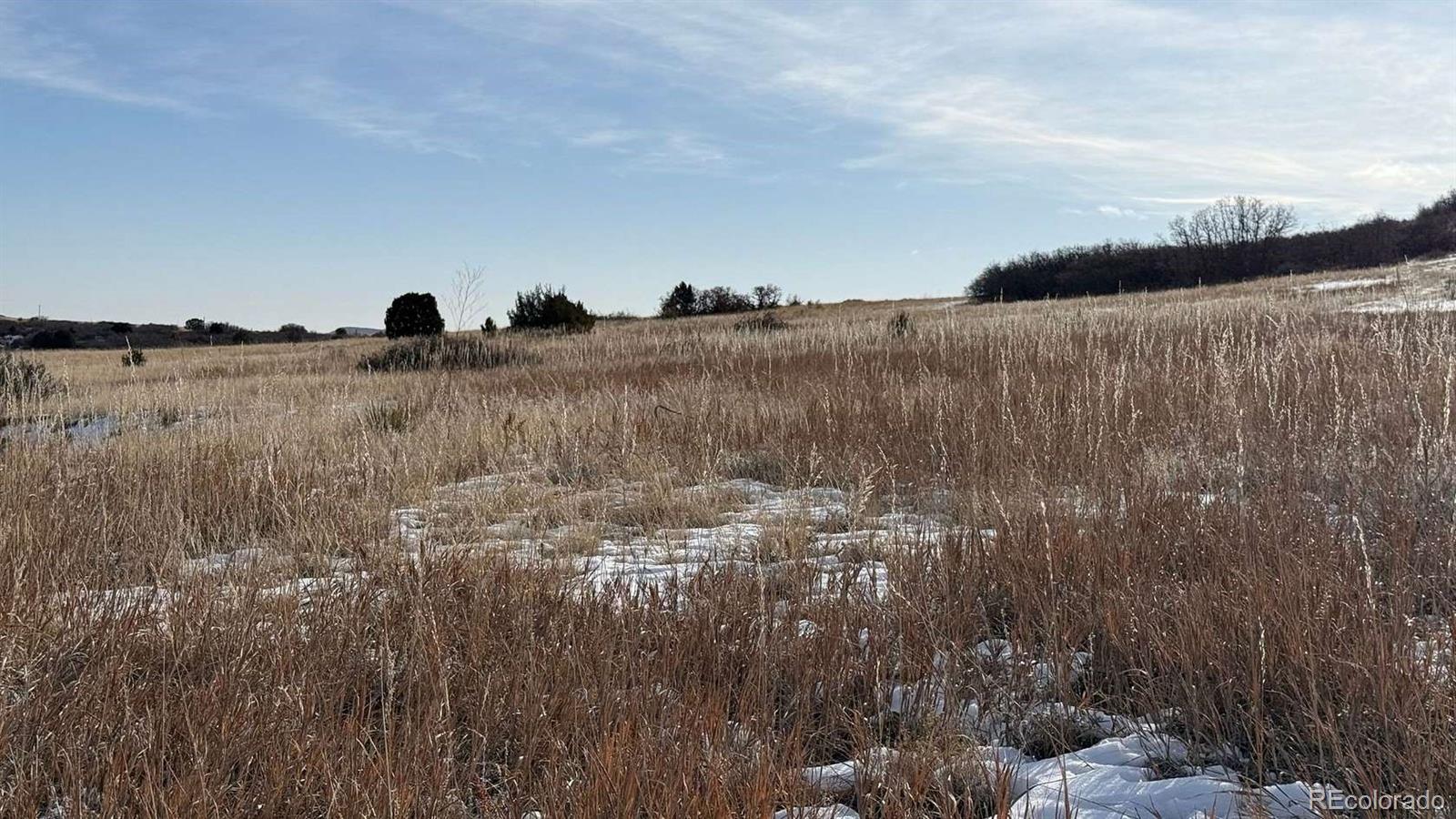 Davlin Street Rye, CO 81069 - Photo 12 of 12