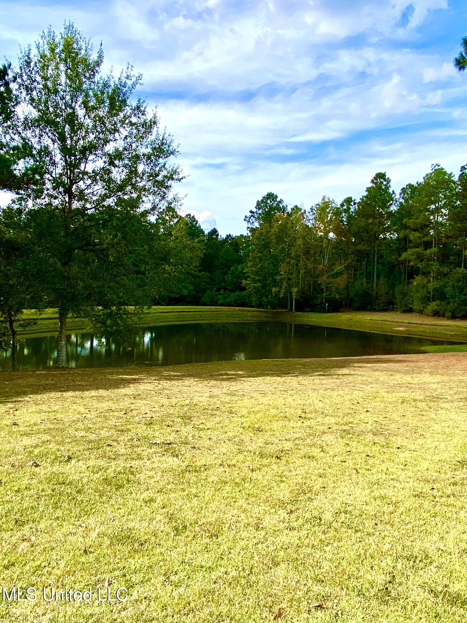 299 Quitman Perry Road Carriere, MS 39426 - Photo 56 of 79 53, Pond, IMG_5890