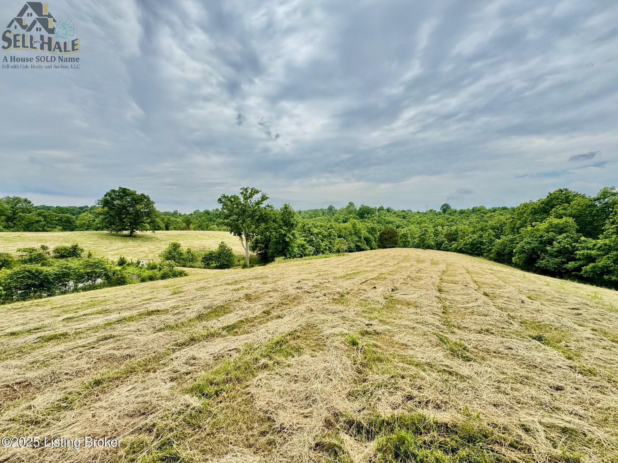 2 Polin Road Willisburg, KY 40078 - Photo 8 of 17 IMG_2884