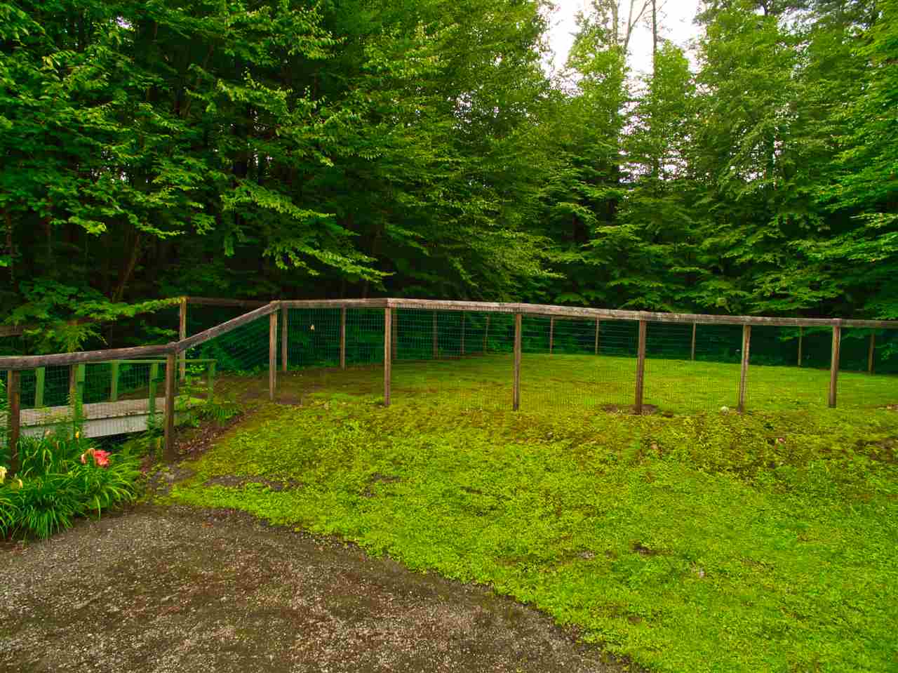 1198 Cole Pond Road Jamaica, VT 05343 - Photo 3 of 18 Gallery Image 3