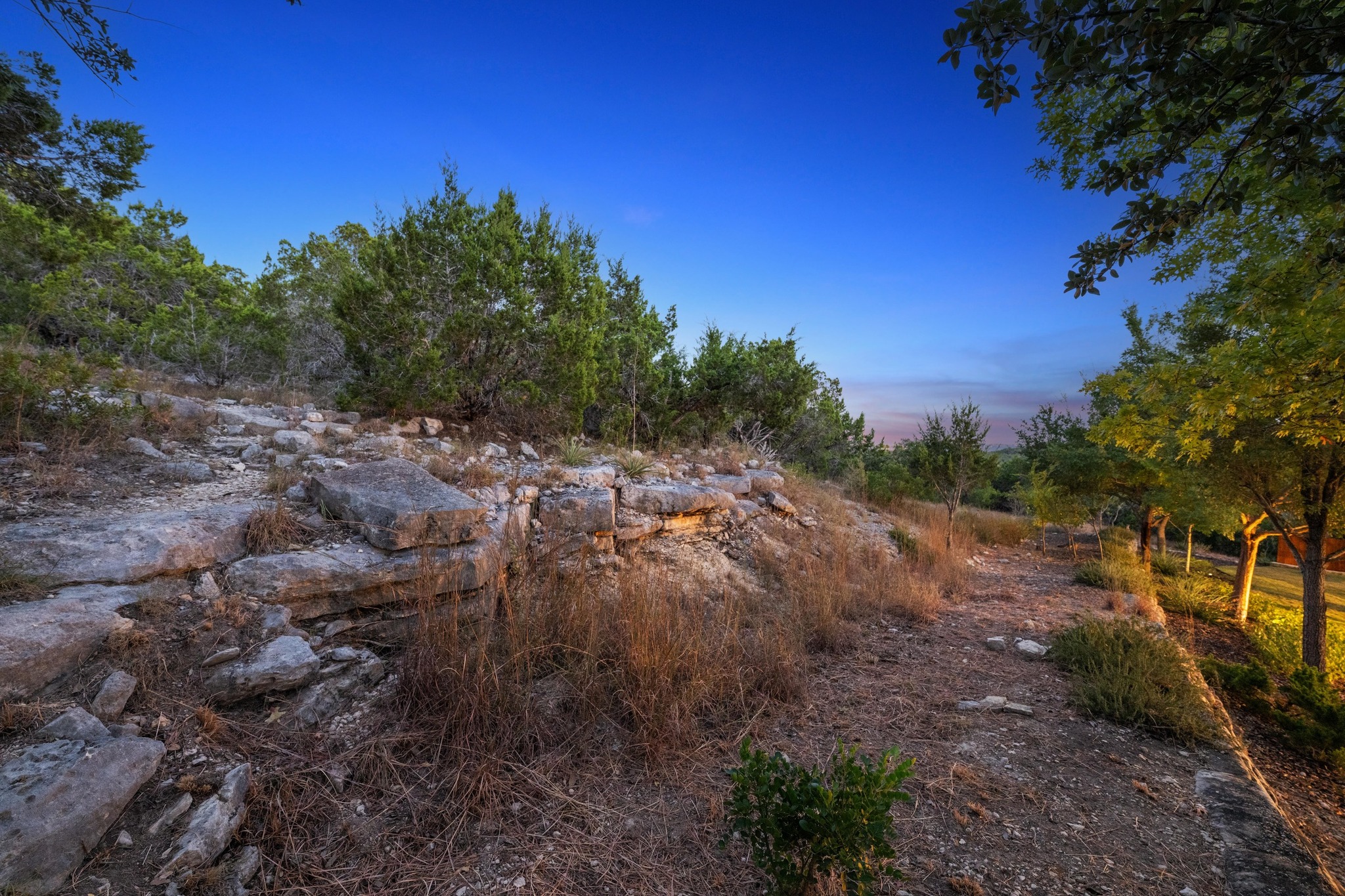3713 Soledad Court Austin, TX 78732 - Photo 40 of 40 a view of a yard with a tree