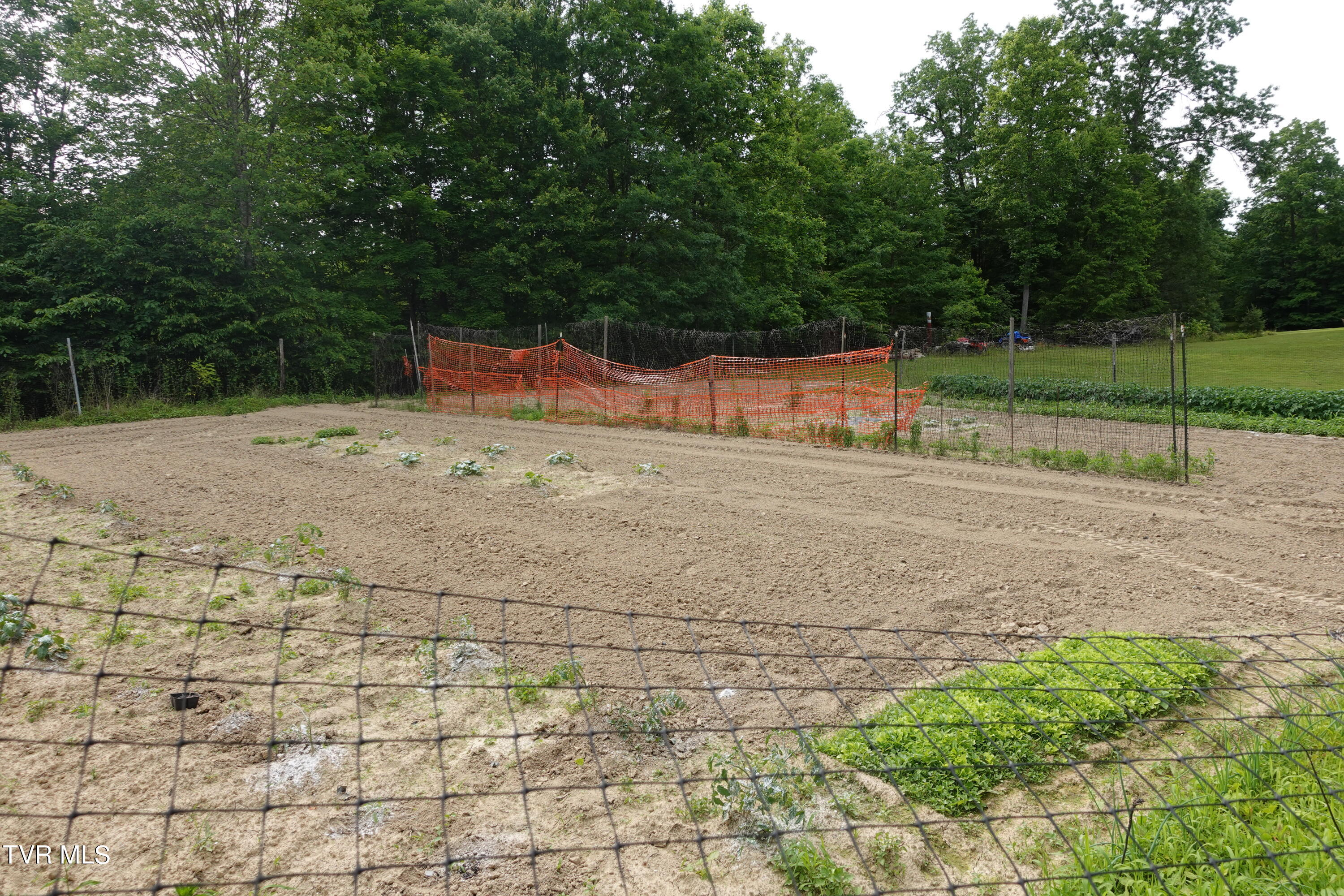 639 Dream Farm Road Birchleaf, VA 24220 - Photo 82 of 153 DSC00290