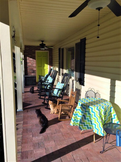 6377 Harlem Grovetown Road Harlem, GA 30814 - Photo 3 of 41