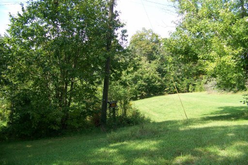 2039 New Era Road Sevierville, TN 37862 - Photo 8 of 8 Additional Photo