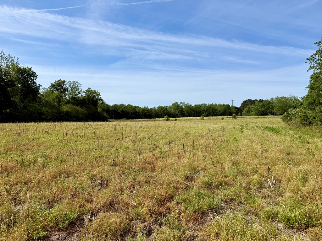 14.57-acres Red Oak Road Florala, AL 36442 - Photo 9 of 14