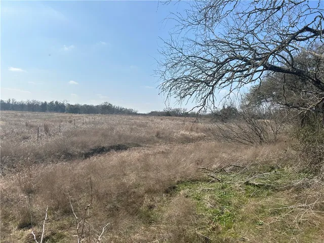 a view of mountain view with large trees