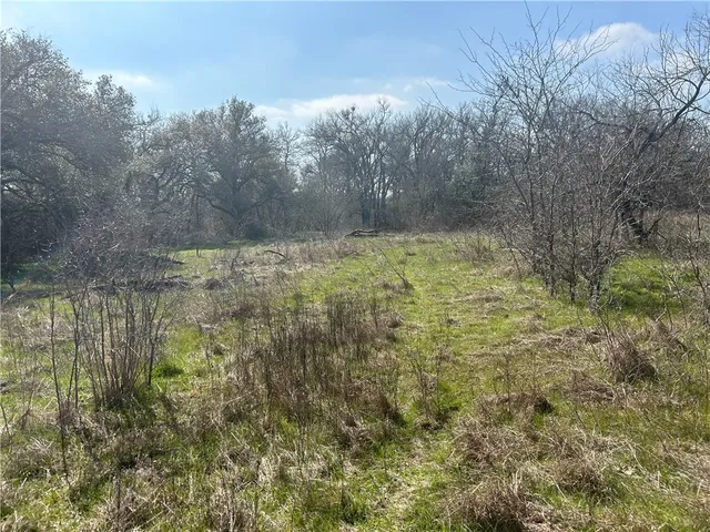 a view of a yard with large trees