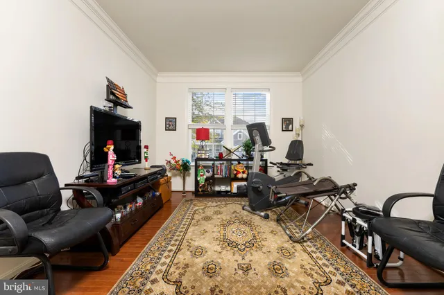 a living room with furniture a rug and a window