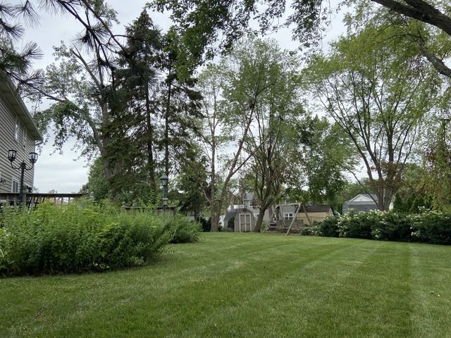 1007 East Bailey Road Naperville, IL 60565 - Photo 4 of 5 Gallery Image 4