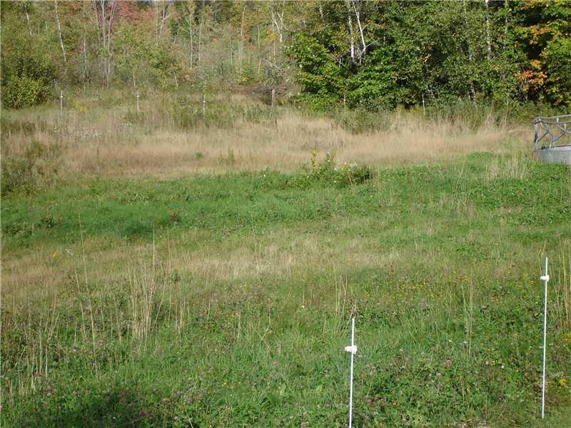 170 Hodgdon Road Levant, ME 04456 - Photo 22 of 35 Land.