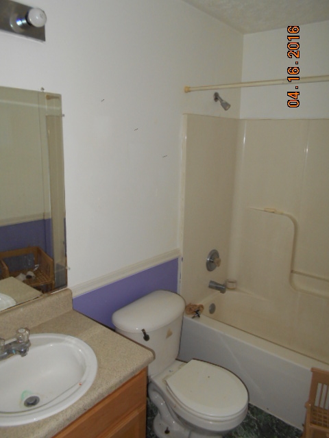 3519 Oak Ridge Road Shipman, VA 22971 - Photo 11 of 13 a bathroom with a toilet a sink and bathtub