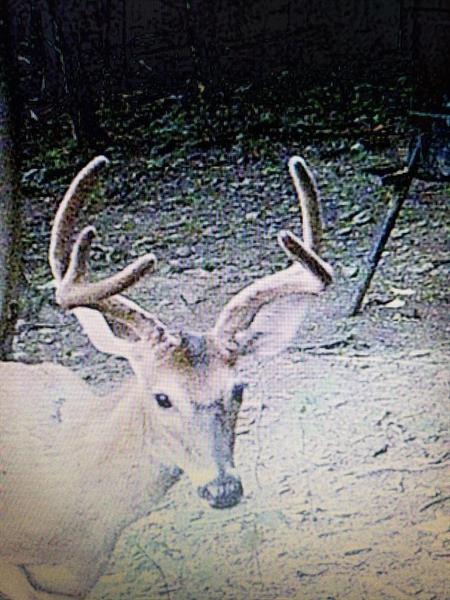 466 Dillie Road Sycamore, PA 15364 - Photo 25 of 25