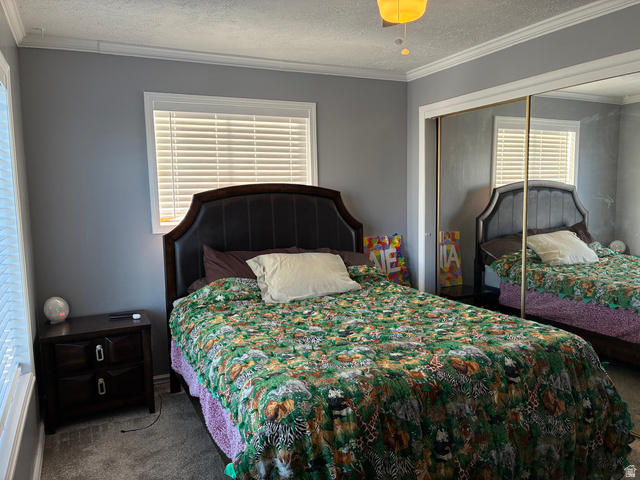 290 North 100 E Street Beaver, UT 84713 - Photo 9 of 29