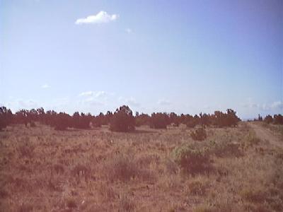 72 Woodlands Ranch Road Valle, AZ 86046 - Photo 1 of 4 Primary Photo