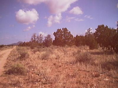 72 Woodlands Ranch Road Valle, AZ 86046 - Photo 4 of 4 Additional Photo