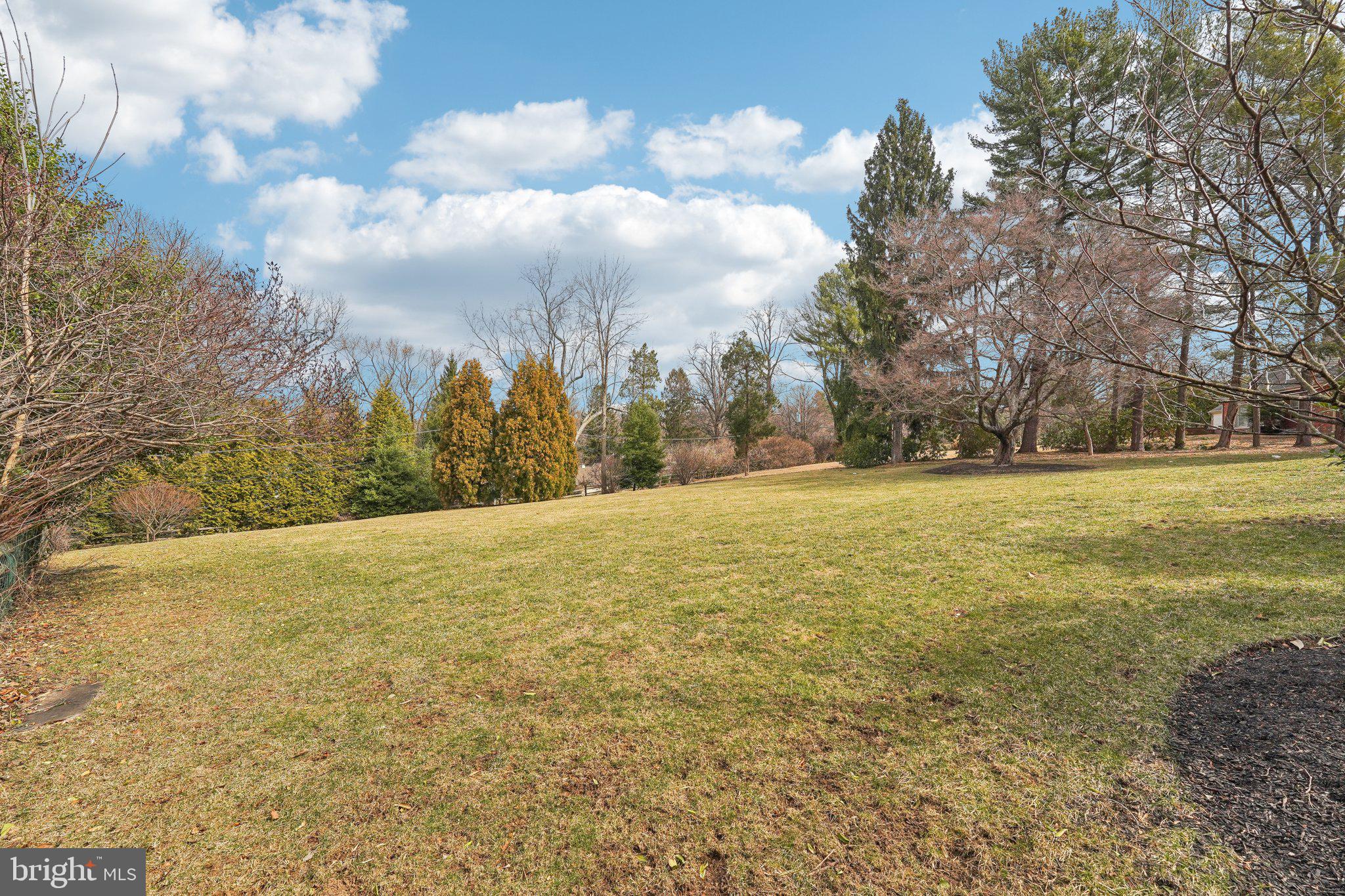 111 Steeplechase Road Devon, PA 19333 - Photo 72 of 77 a view of outdoor space with yard and trees all around