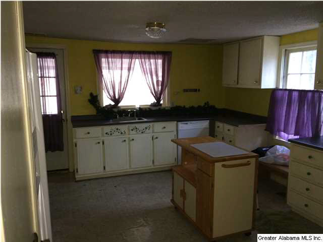 4478 Sharon Church Road Pinson, AL 35126 - Photo 5 of 8