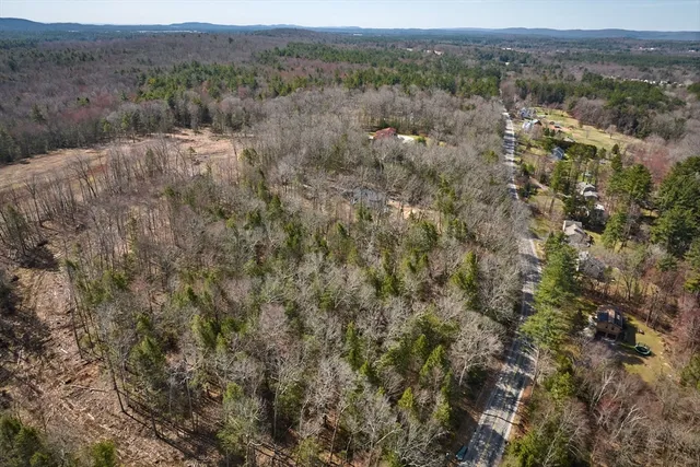 an aerial view of forest
