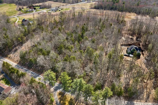 a view of a forest with a forest