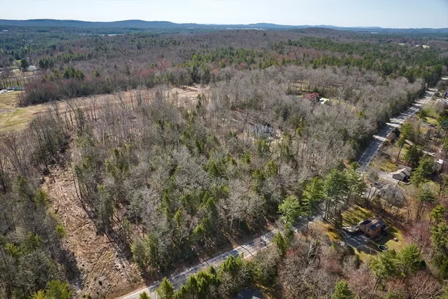 a view of a dry yard and trees