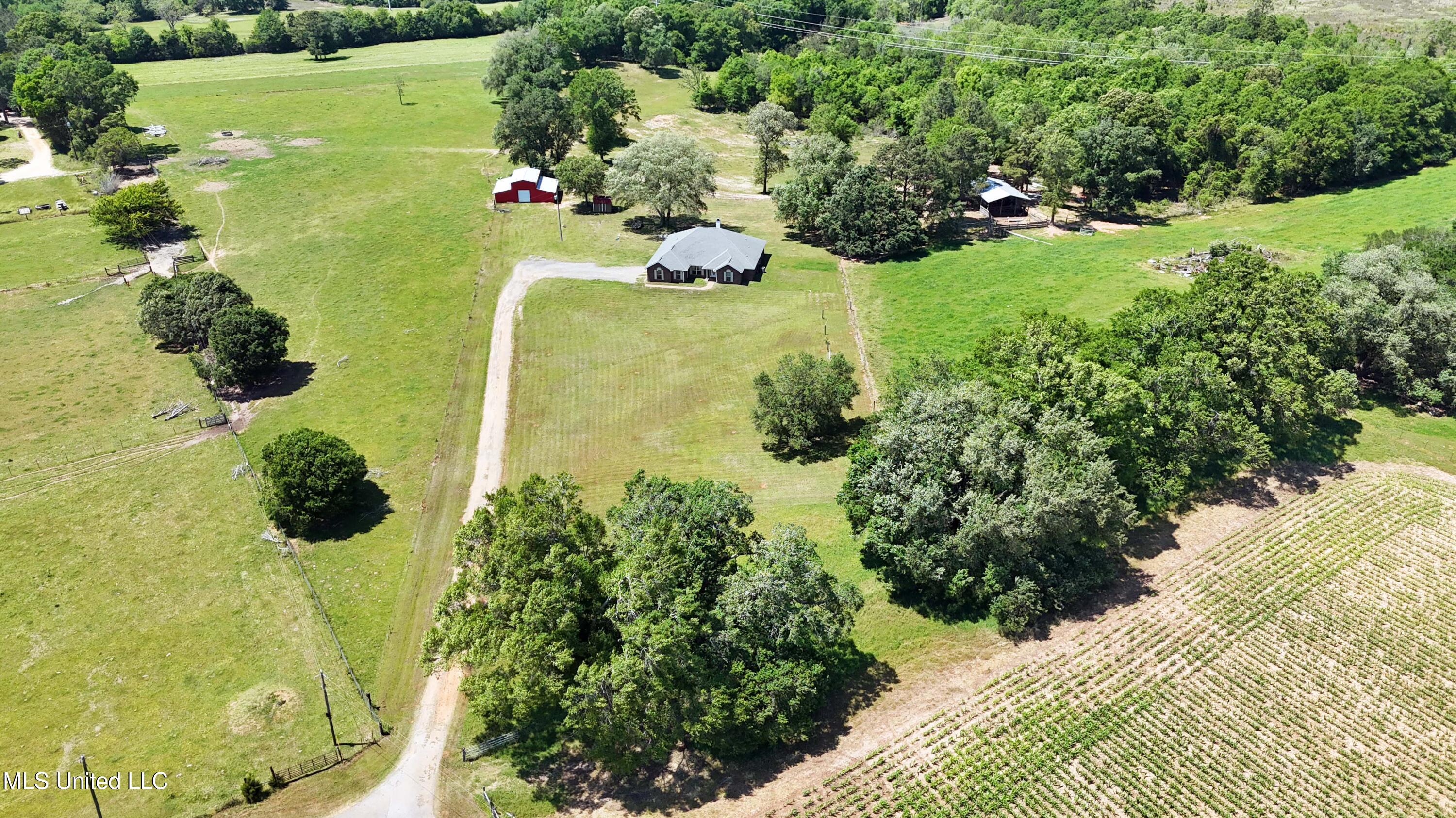 152 Brown Loop Lucedale, MS 39452 - Photo 30 of 35 031