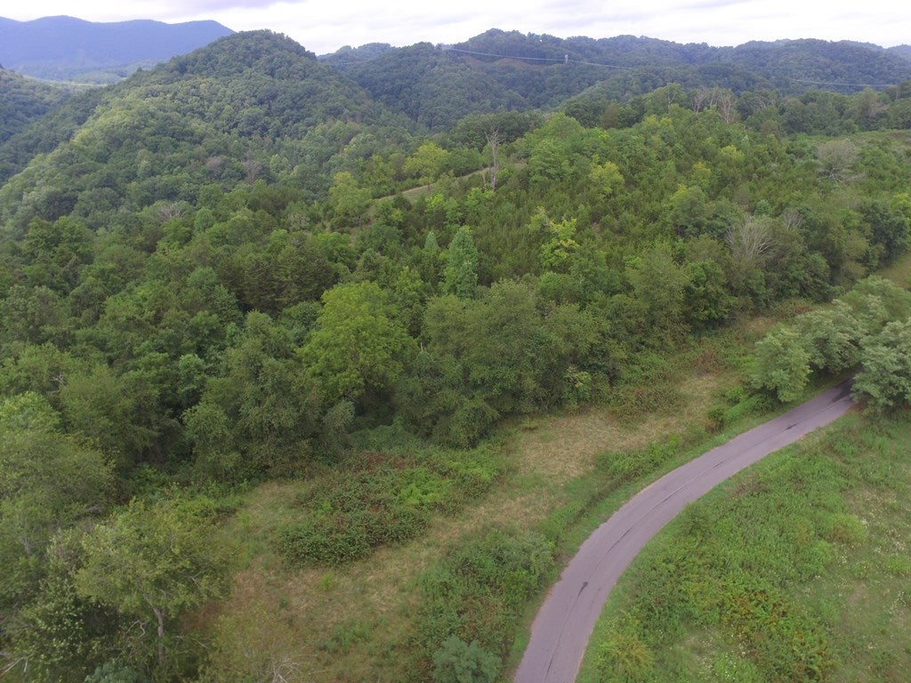 Tbd Romans Ridge Road Honaker, VA 24260 - Photo 9 of 51 Gallery Image 9