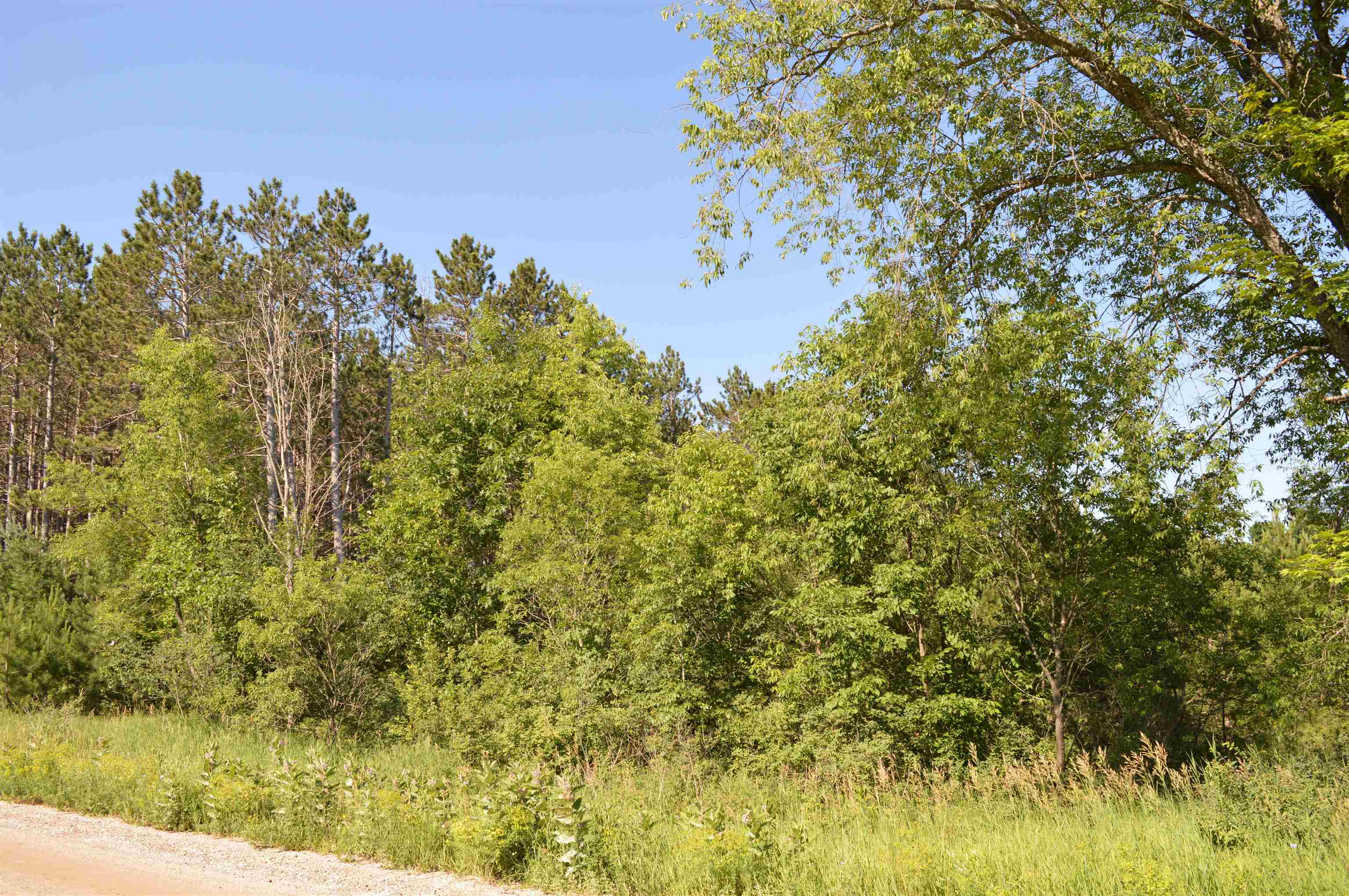 Northeast Holly Road, Unit LOT: A Kalkaska, MI 49646 - Photo 4 of 27