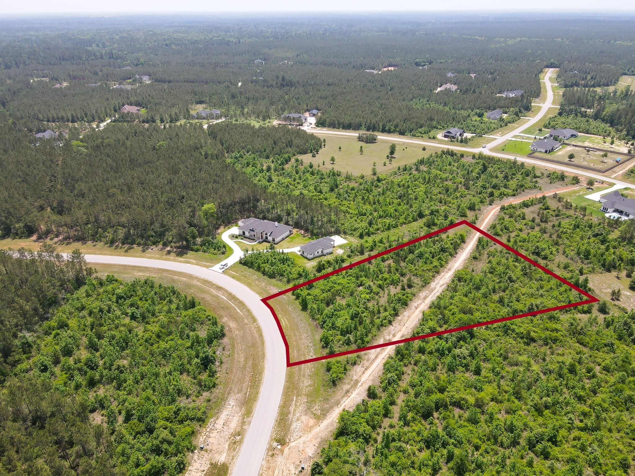 16089 Forest Mill Road Willis, TX 77378 - Photo 4 of 12