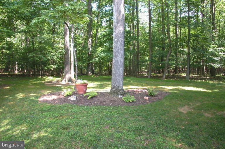 10 Durkee Farm Road Reisterstown, MD 21136 - Photo 2 of 26 Back yard