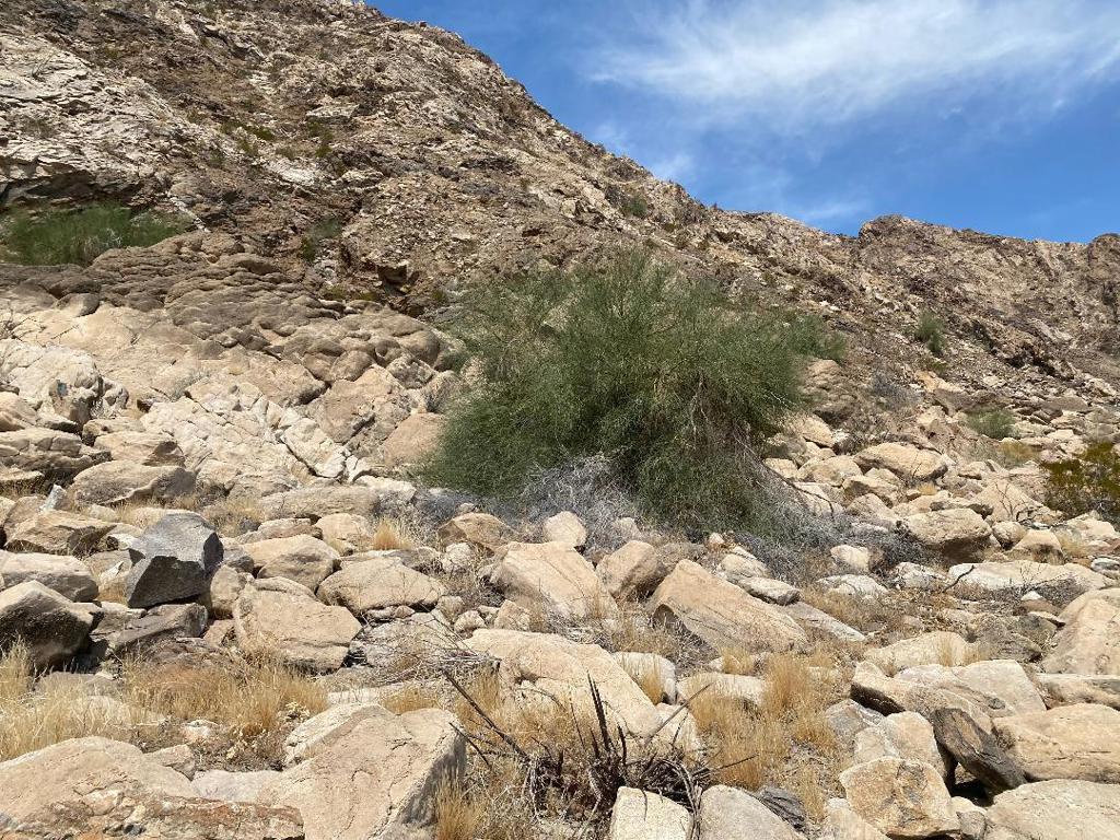 0 Coolidge Springs Road Salton City, CA 92275 - Photo 18 of 62 thumbnail (18)