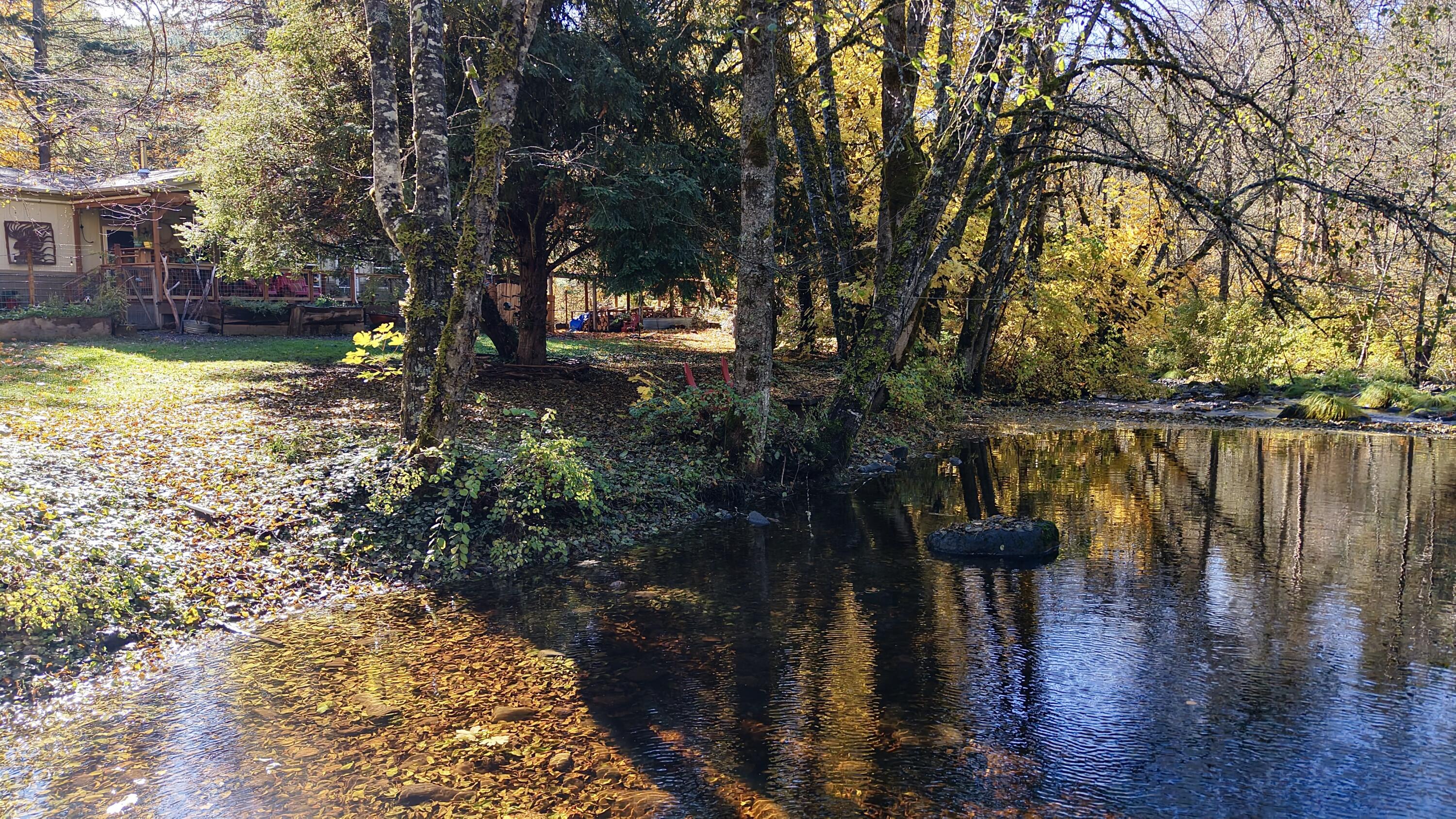52 Dodes Creek Road Trail, OR 97541 - Photo 70 of 110 Creek & Back of Home