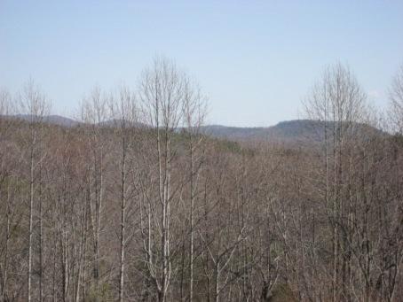 285 McNeil Mill Road Rocky Mount, VA 24151 - Photo 8 of 12 Mountain Views