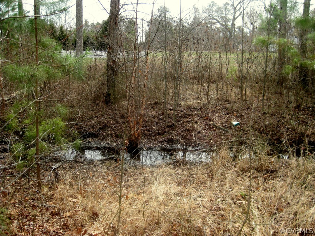 24540 Oxford Road Ruther Glen, VA 22546 - Photo 16 of 22 Gallery Image 16