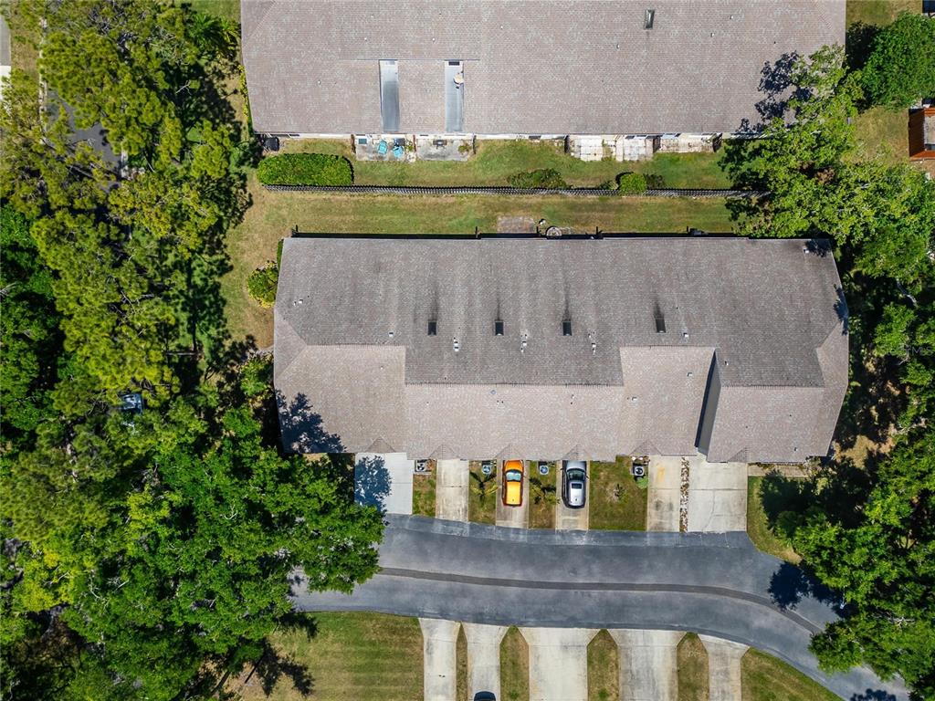 658 Green Valley Road, Unit B3 Palm Harbor, FL 34683 - Photo 71 of 80