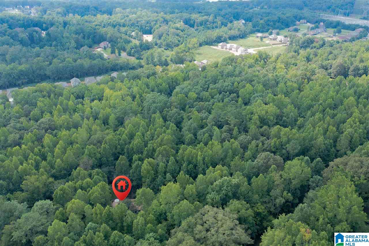 7904 McIntyre Road Trussville, AL 35173 - Photo 2 of 44